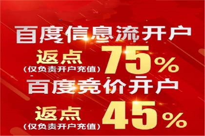 百度竞价广告的成功之路：企业运营案例集